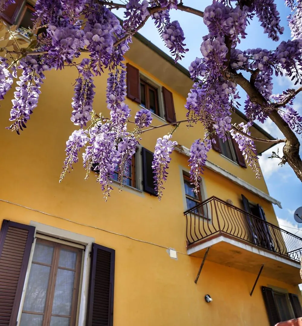 Homestay Casa Magnolia Apartment Bientina