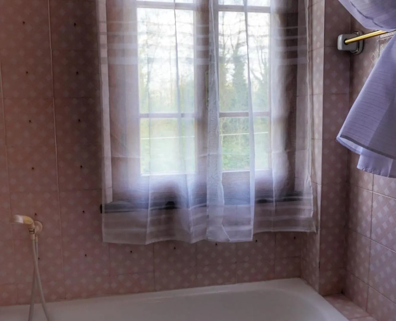 Homestay Casa Magnolia Apartment Bientina Italy